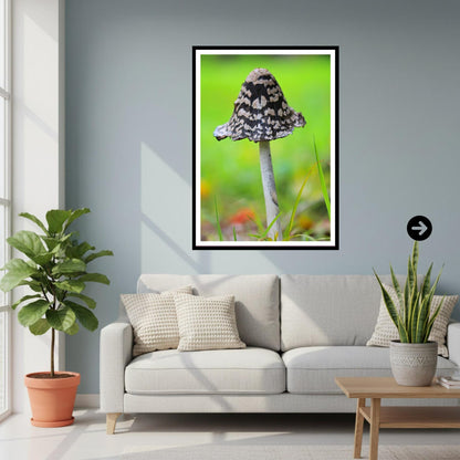 Shaggy Ink Cap Fungi Print | Mushroom Art, Woodland Decor, Nature Photography, Archival Paper, FSC Certified, Fungi Collection