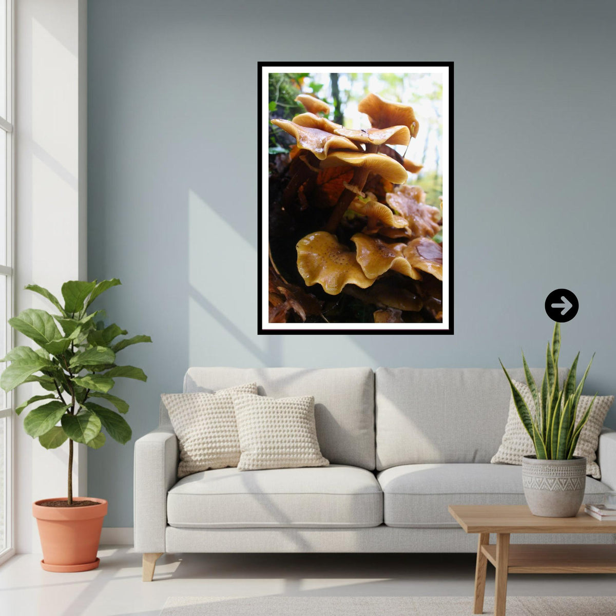 Honey Fungus Fungi Print Art, Mushroom Nature Photography, Woodland Decor, Botanical Archival Print, Fungi Collection, Wildlife Poster