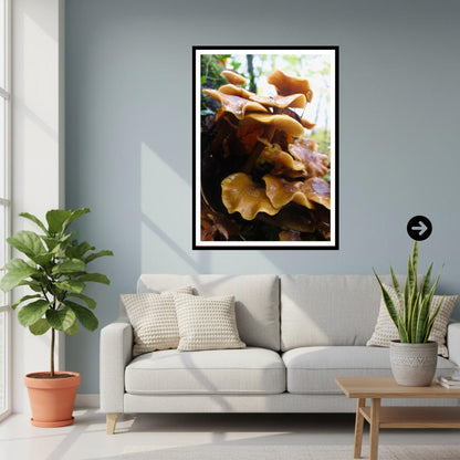 Honey Fungus Fungi Print Art, Mushroom Nature Photography, Woodland Decor, Botanical Archival Print, Fungi Collection, Wildlife Poster