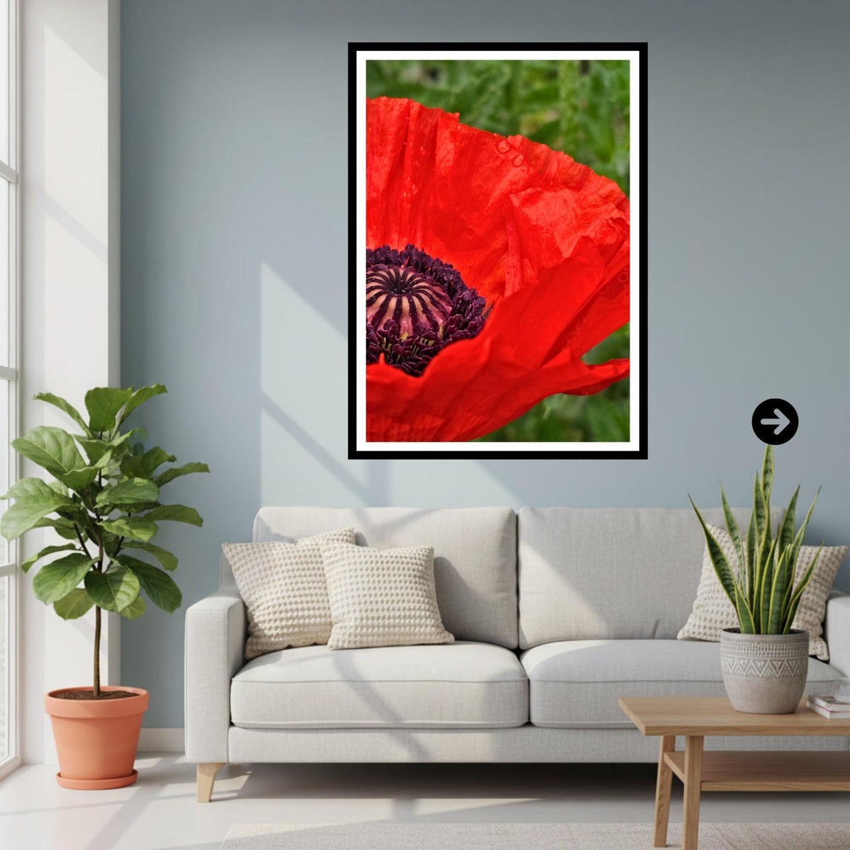 Red Poppy Macro Print, Botanical Wall Art, Flower Photography, Poppy Collection