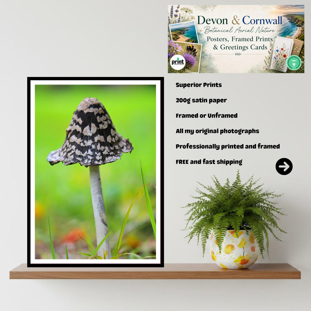 Shaggy Ink Cap Fungi Print | Mushroom Art, Woodland Decor, Nature Photography, Archival Paper, FSC Certified, Fungi Collection