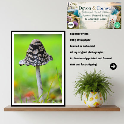 Shaggy Ink Cap Fungi Print | Mushroom Art, Woodland Decor, Nature Photography, Archival Paper, FSC Certified, Fungi Collection