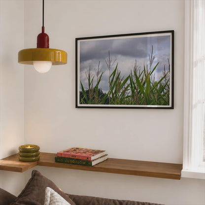 Maize Field Stormy Sky Poster, Corn Crop Photography, Framed-Print, Green Rural Landscape, Countryside Wall Art, Nature Farm Print