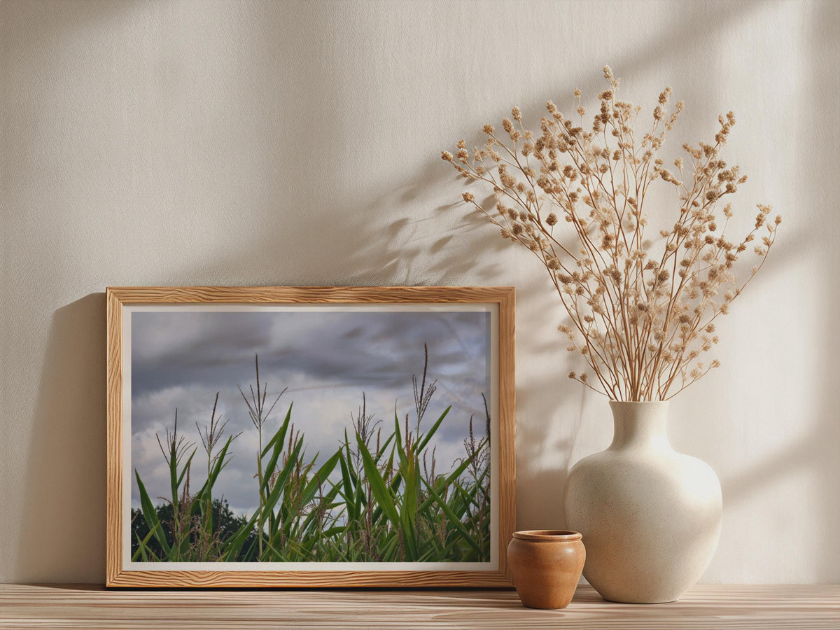 Maize Field Stormy Sky Poster, Corn Crop Photography, Framed-Print, Green Rural Landscape, Countryside Wall Art, Nature Farm Print