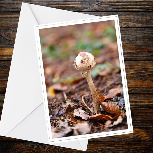 Parasol Mushroom Fungi Greeting Card, Nature Woodland Botanical Card, Edible Mushroom Art, All Occasion Handmade Card, Wildlife Forest Print