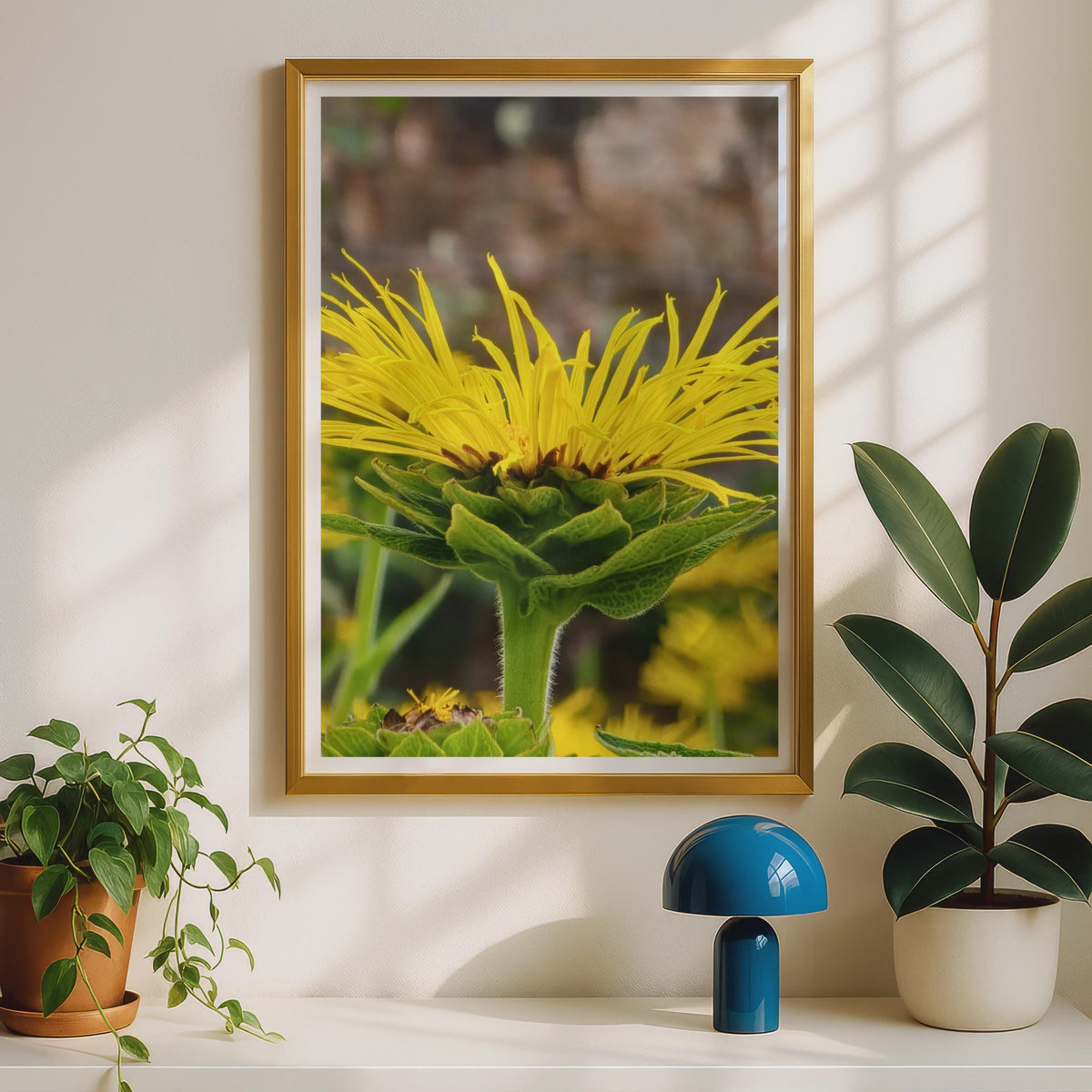 Yellow Wildflower Close Up Photography Print, Bright Botanical Poster, Macro Nature Wall Art, Garden Flower Photo, Summer Floral Home Decor