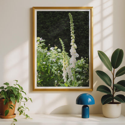 White Foxglove Flower Poster, Cottage Garden Wall Art, Botanical Photography Print, Digitalis Floral Home Decor, Green Nature Photo