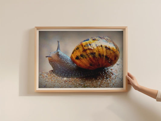 Garden Snail Close Up Poster, Macro Wildlife Photography Print, Framed-Print, Brown Shell Nature Wall Art, Quirky Animal Decor Gift