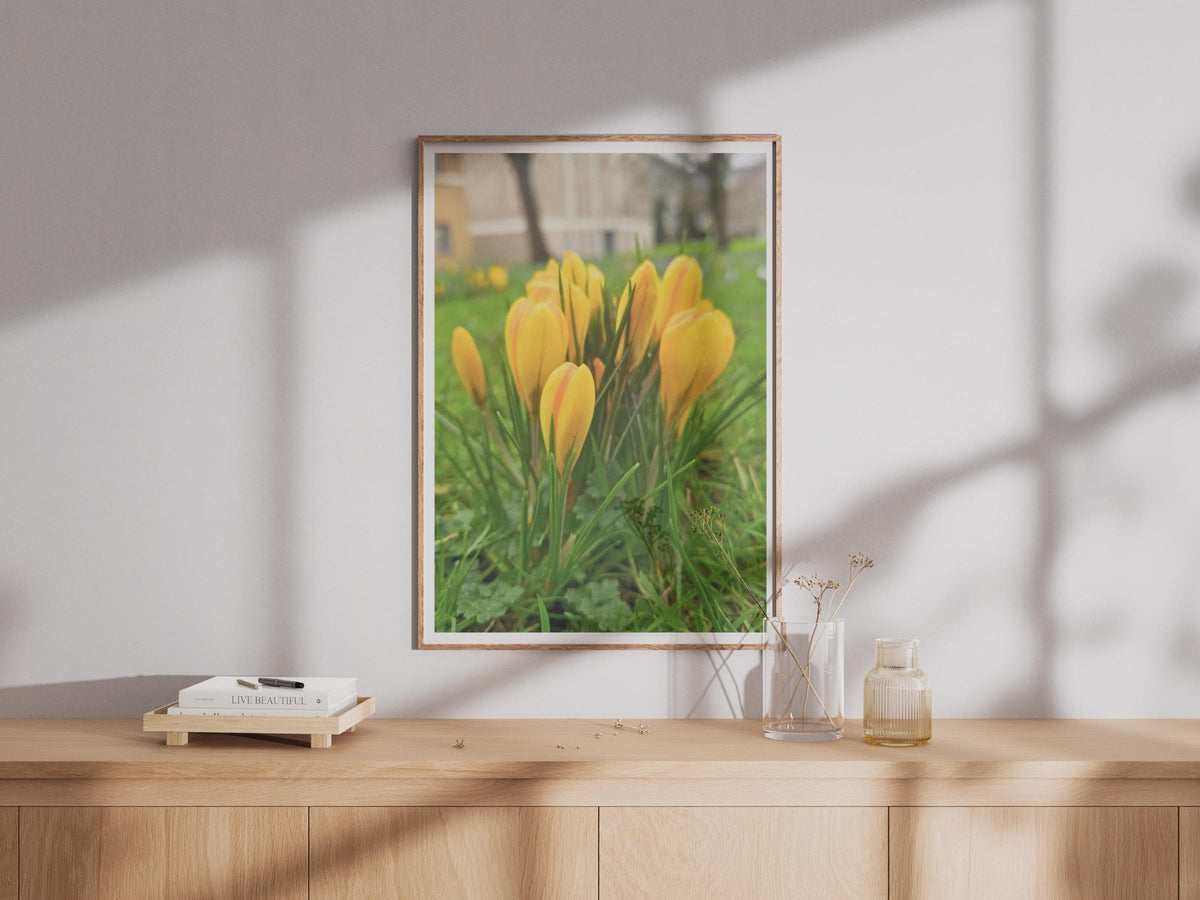 Yellow Crocus Flower Poster, Spring Garden Wall Art, Botanical Photography Print, Bright Floral Home Decor, Nature Photo Print