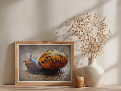 Garden Snail Close Up Poster, Macro Wildlife Photography Print, Framed-Print, Brown Shell Nature Wall Art, Quirky Animal Decor Gift