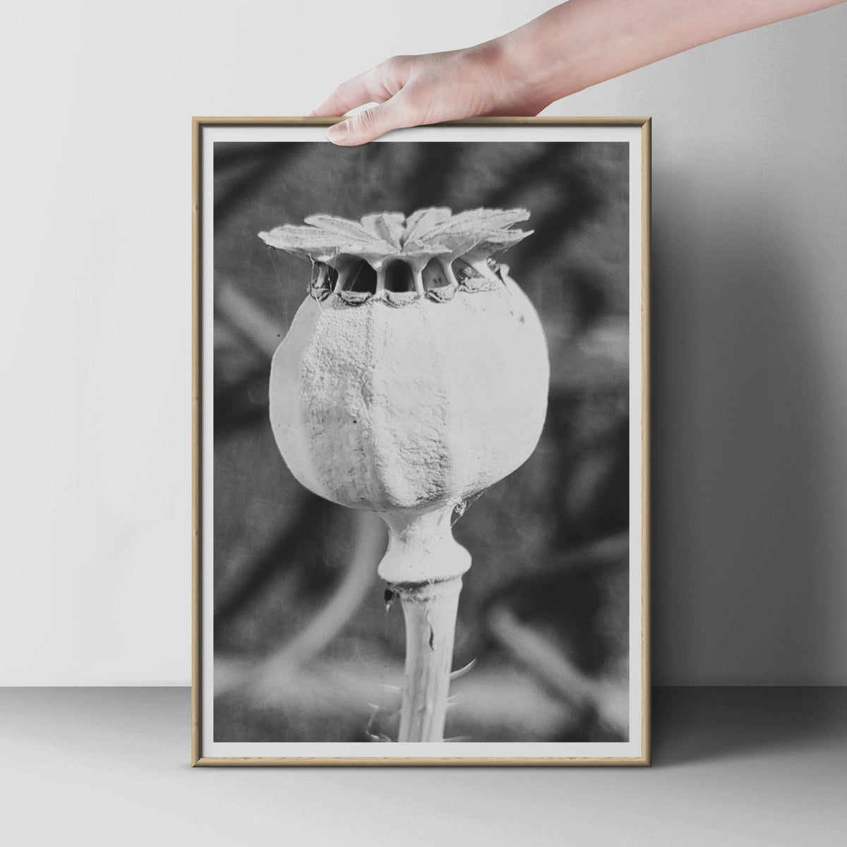 Poppy Seed Head Black and White Photography Print, Macro Botanical Wall Art, Monochrome Flower Pod Poster, Nature Close Up Home Decor