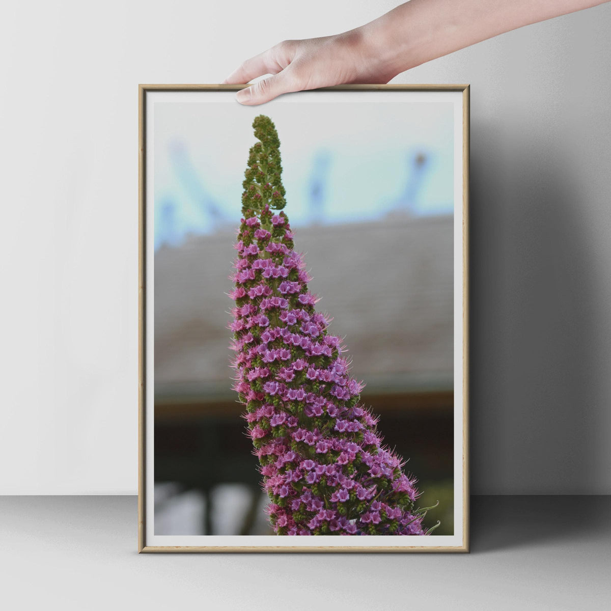 Purple Flower Spike Photo Print, Botanical Wall Art, Pink Floral Poster, Nature Photography, Garden Lover Gift, Close Up Flower Print