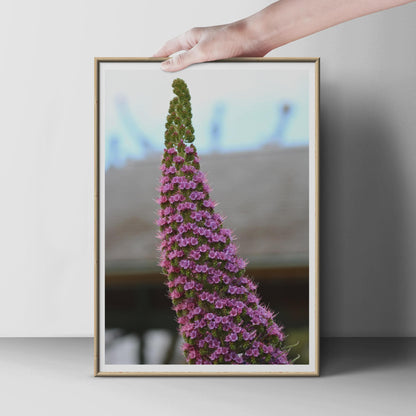 Purple Flower Spike Photo Print, Botanical Wall Art, Pink Floral Poster, Nature Photography, Garden Lover Gift, Close Up Flower Print