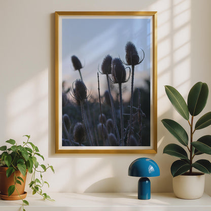Teasel Seedhead Photography Print, Winter Botanical Wall Art, Moody Nature Poster, Blue Dusk Sky, Rustic Wild Plant Decor, Countryside Print