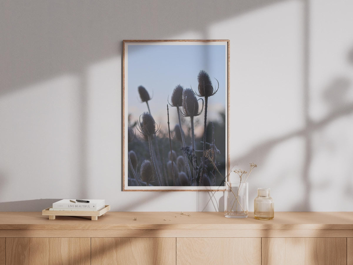 Teasel Seedhead Photography Print, Winter Botanical Wall Art, Moody Nature Poster, Blue Dusk Sky, Rustic Wild Plant Decor, Countryside Print