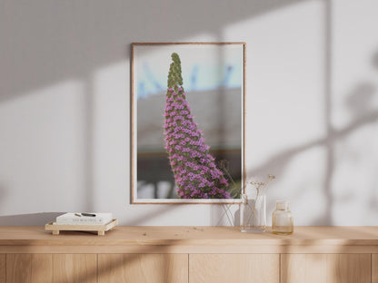 Purple Flower Spike Photo Print, Botanical Wall Art, Pink Floral Poster, Nature Photography, Garden Lover Gift, Close Up Flower Print