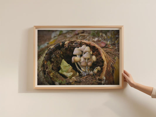 Fungi Mushroom Poster, Forest Floor Nature Print, Woodland Wall Art, Framed Print, Earthy Tones Botanical Photography, Autumn Home Decor