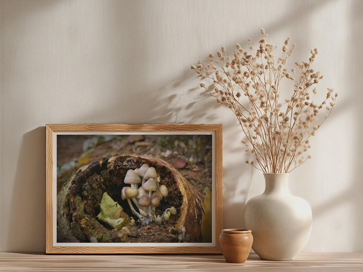 Fungi Mushroom Poster mockup - Neutral_Mockup_Studio_509