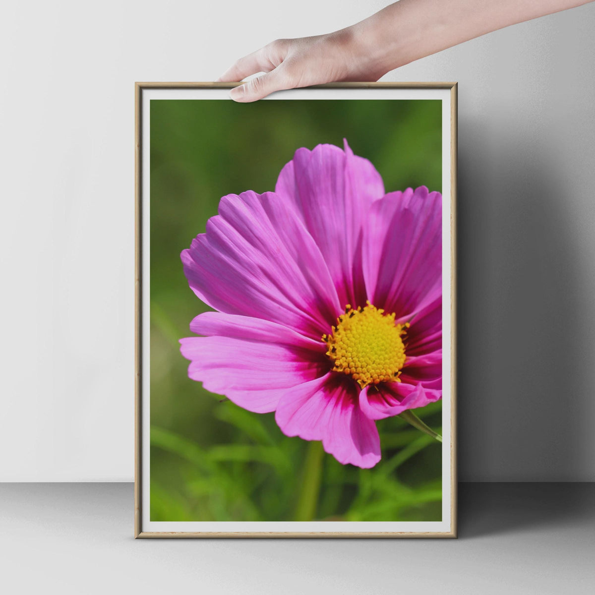 Pink Cosmos Flower Photography Print, Close Up Floral Wall Art, Bright Pink Garden Poster, Summer Botanical Photo, Nature Lover Gift Print