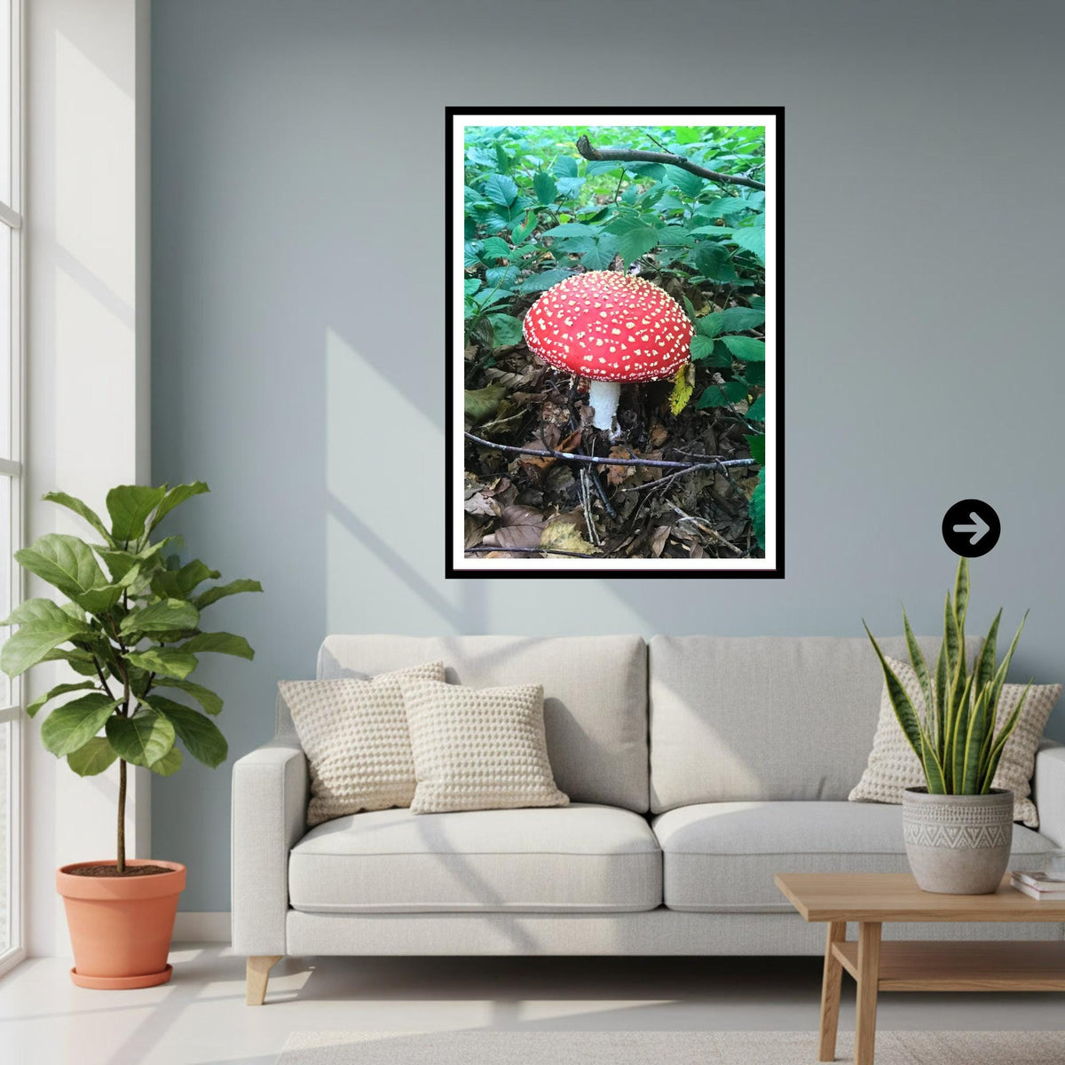 Fly Agaric Fungi Print Art, Mushroom Wall Decor, Nature Photography, Woodland Botanical Poster, Archival Fungi Collection, Forest Decor