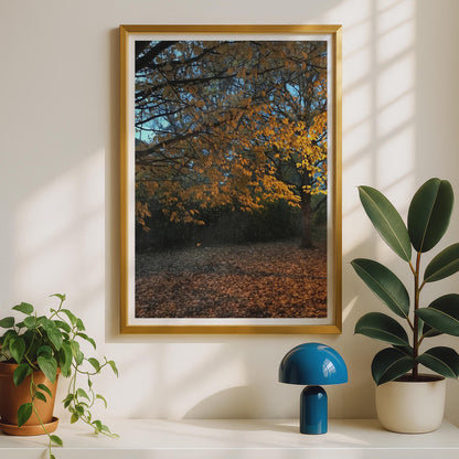 Autumn Tree Photography Print - image 2