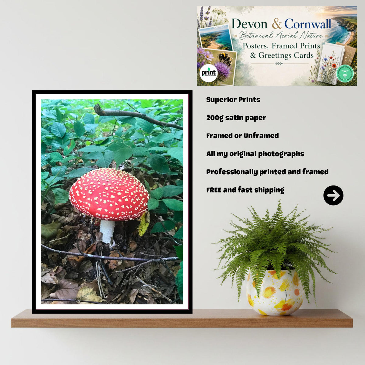 Fly Agaric Fungi Print Art, Mushroom Wall Decor, Nature Photography, Woodland Botanical Poster, Archival Fungi Collection, Forest Decor