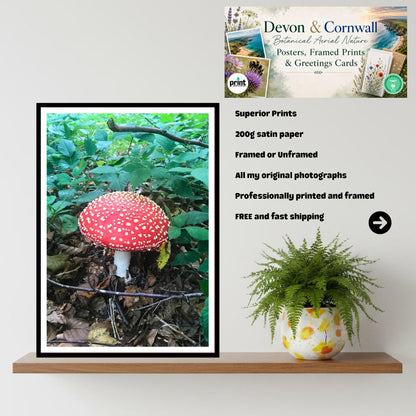 Fly Agaric Fungi Print Art, Mushroom Wall Decor, Nature Photography, Woodland Botanical Poster, Archival Fungi Collection, Forest Decor