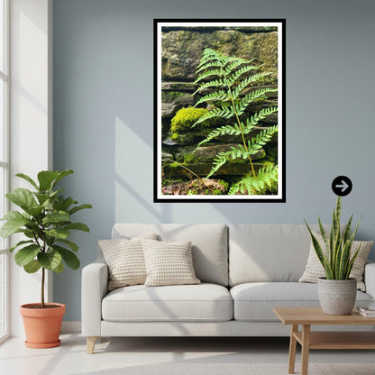 Woodland Fern Print, Mossy Stone Wall Botanical Art, Nature Photography (Inspired by Eden Collection)