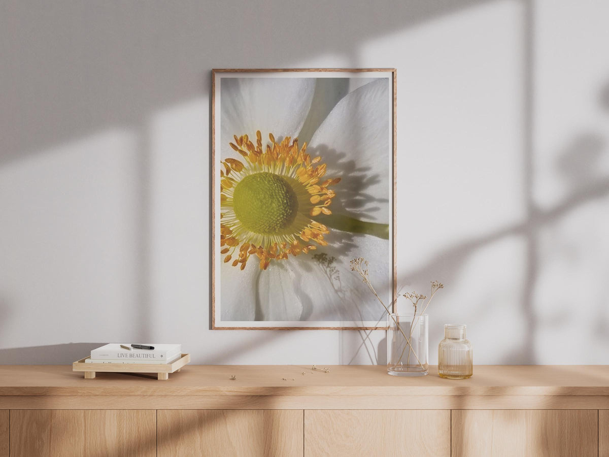 White Anemone Macro Flower Print, Close Up Botanical Wall Art, Gold Stamen Photography Poster, Nature Home Decor