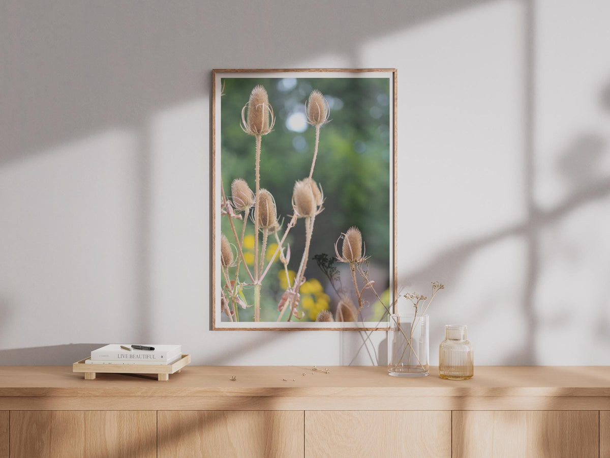 Teasel Seed Heads Botanical Poster, Wild Teasel Print, Dried Seedhead Wall Art, Nature Photography, Autumn Garden Decor, Neutral Tones