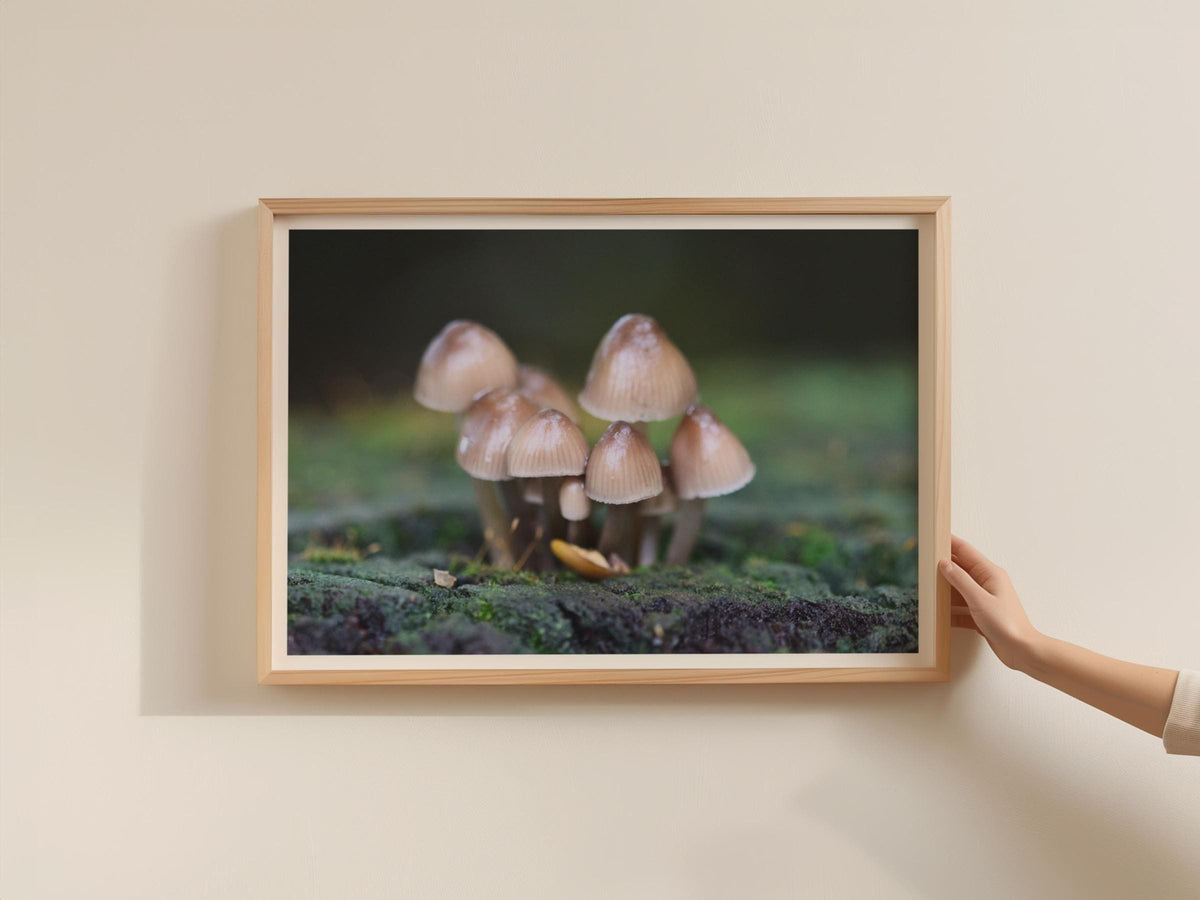 Woodland Fungi Poster, Tiny Mushroom Cluster Print, Nature Photography, Framed-Print, Macro Forest Wall Art, Earthy Brown Botanical Decor