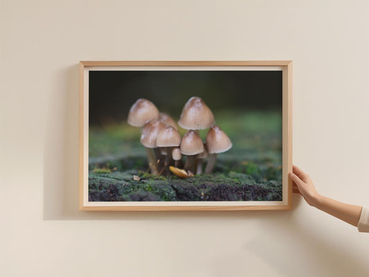 Woodland Fungi Poster, Tiny Mushroom Cluster Print, Nature Photography, Framed-Print, Macro Forest Wall Art, Earthy Brown Botanical Decor
