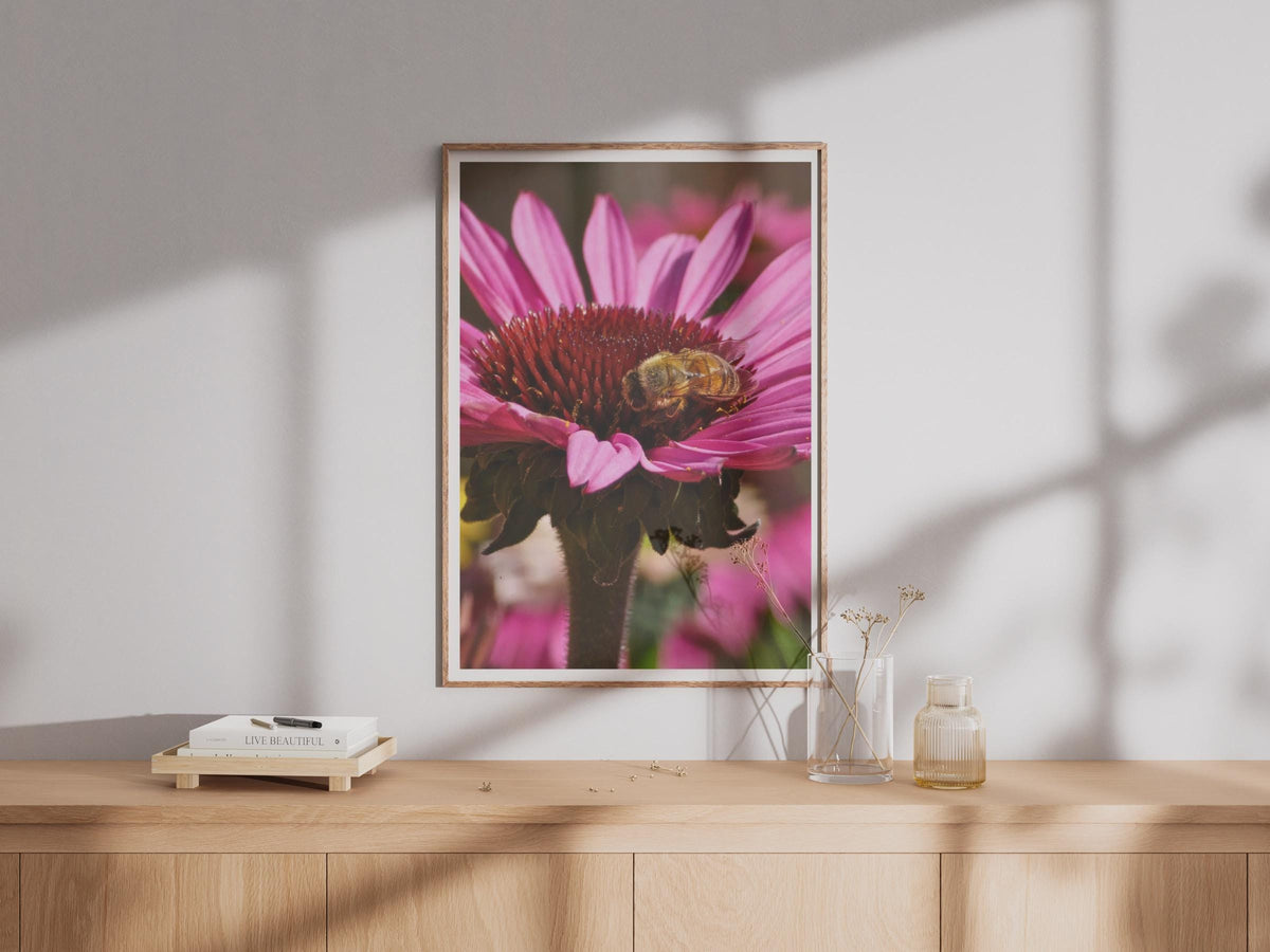 Honeybee on Echinacea Flower Poster, Bee Photography Print, Pink Coneflower Wall Art, Macro Nature Photo, Garden Wildlife Decor