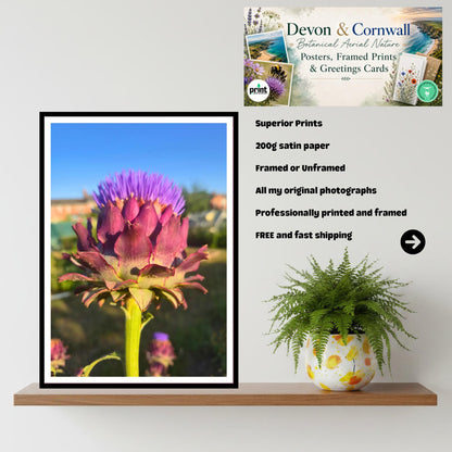 Artichoke Bloom Golden Hour Print, Botanical Wall Art, Foodie Gift, Garden Lover Decor, Nature Photography, Archival Paper, Hope Prosperity