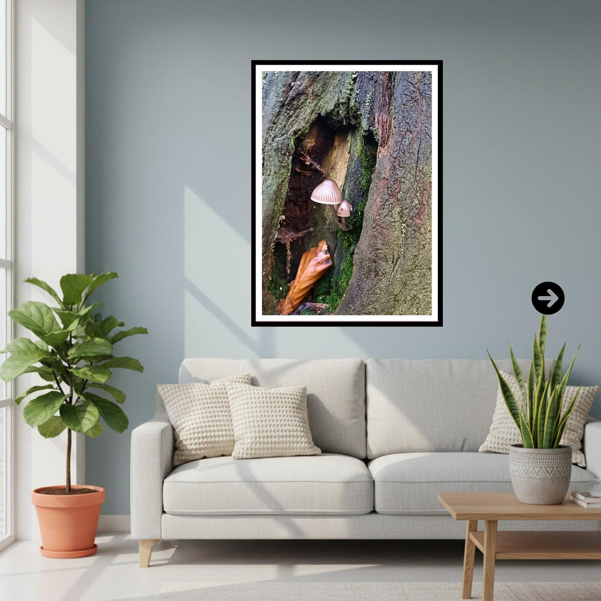 Fairy inkcap Fungi Print Art, Mushroom Nature Photography, Woodland Decor, Botanical Archival Print, FSC Certified Fungi Collection