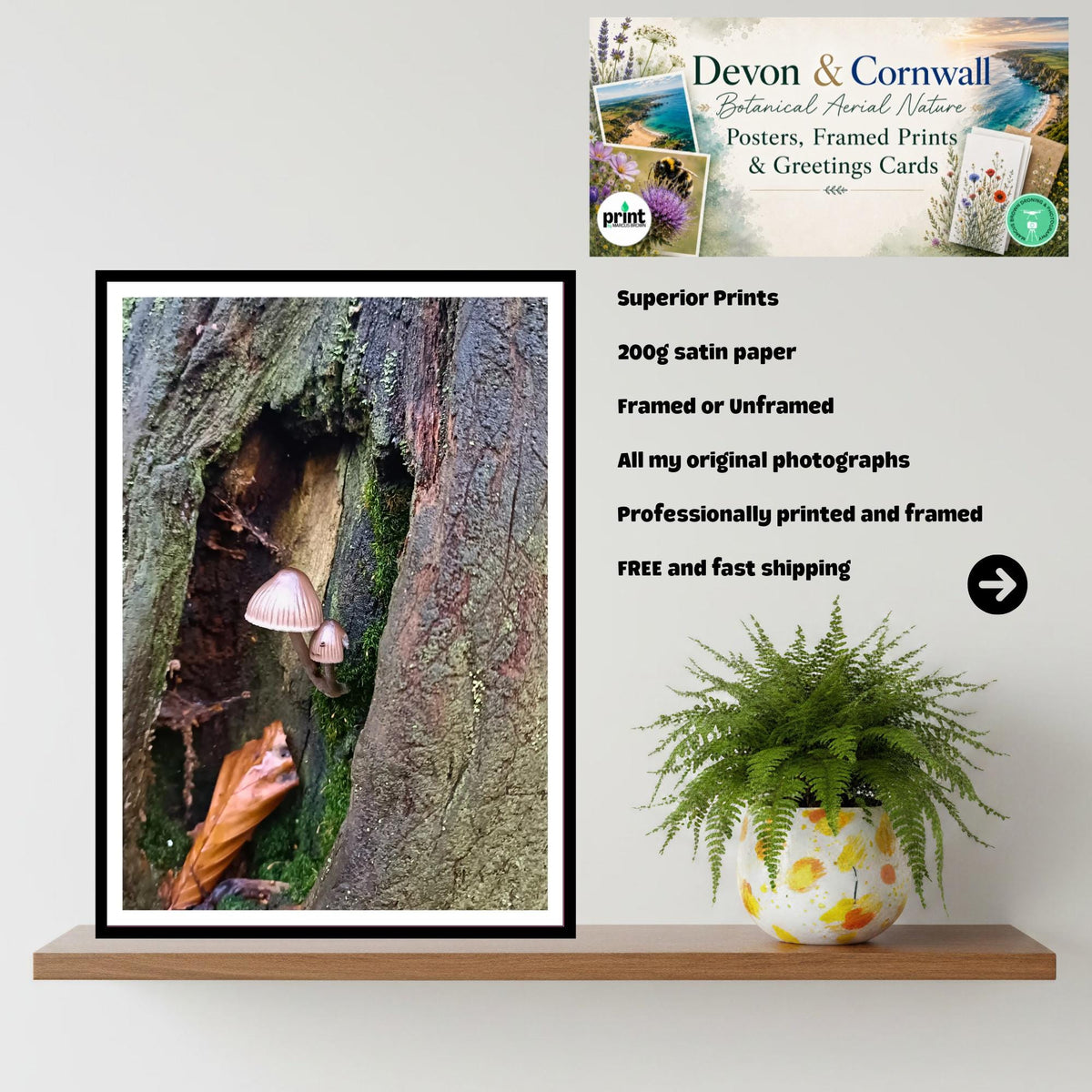Fairy inkcap Fungi Print Art, Mushroom Nature Photography, Woodland Decor, Botanical Archival Print, FSC Certified Fungi Collection
