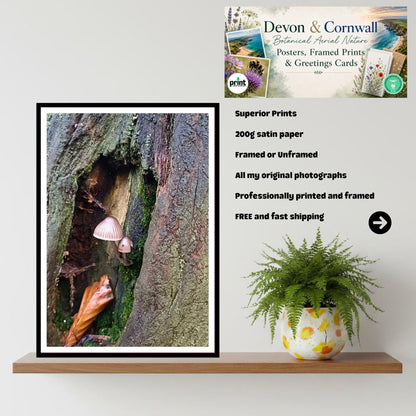 Fairy inkcap Fungi Print Art, Mushroom Nature Photography, Woodland Decor, Botanical Archival Print, FSC Certified Fungi Collection