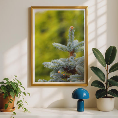 Blue Spruce Tree Close Up Photography Print, Evergreen Conifer Botanical Poster, Nature Wall Art, Teal Green Forest Photo Print for Home