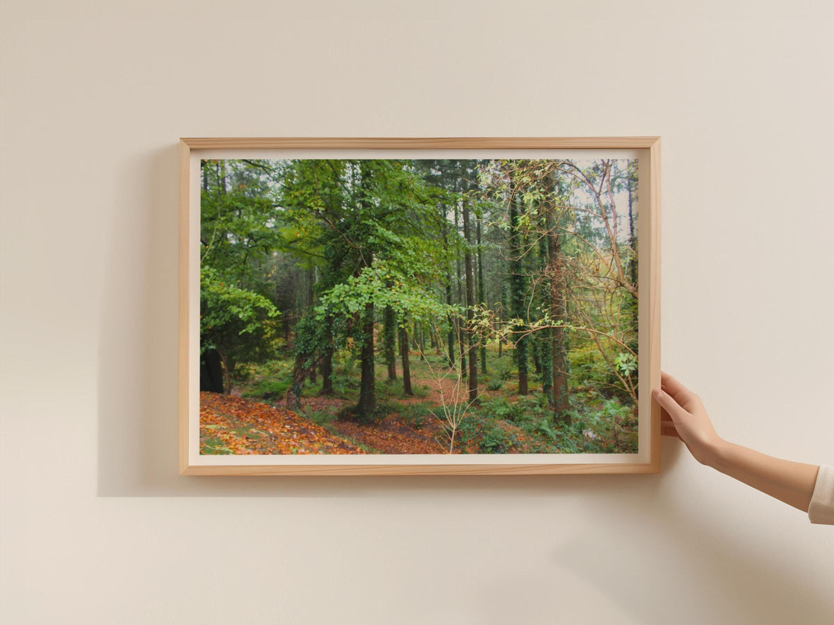 Autumn Forest Landscape Poster, Woodland Trees Wall Art, Ivy Covered Trees framed-print, Green Nature Photography Print