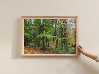 Autumn Forest Landscape Poster, Woodland Trees Wall Art, Ivy Covered Trees framed-print, Green Nature Photography Print