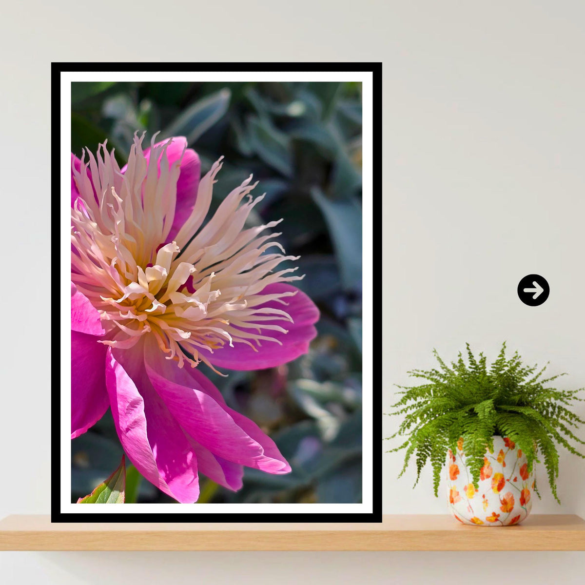 Pink Peony Macro Print: Botanical Wall Art, Floral Nature Photography (Poster/Framed)