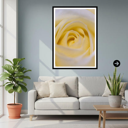 Cream White Rose Print: Botanical Close-Up Floral Wall Art Poster