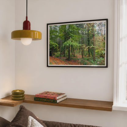 Autumn Forest Landscape Poster - image 2