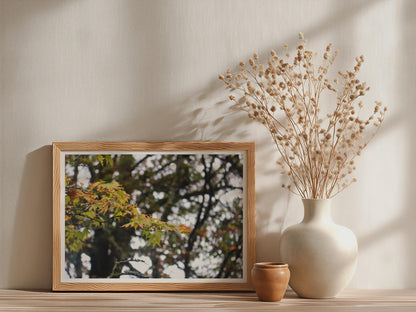 Autumn Maple Leaves Poster - image 3