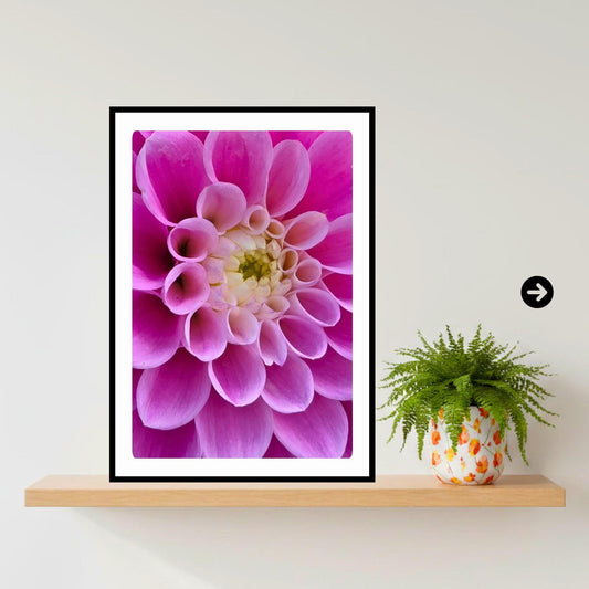 Soft Pink Dahlia Macro Print | Elegant Botanical Wall Art, Floral Home Decor