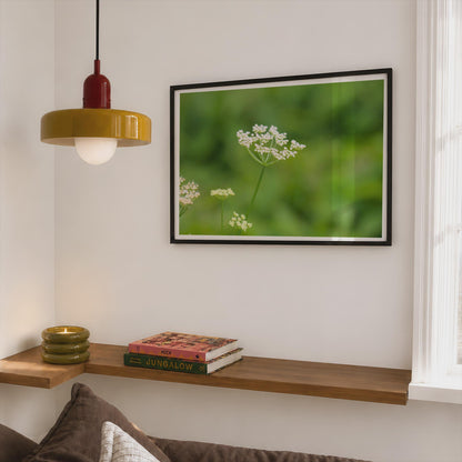 Wild Cow Parsley Poster, White Umbellifera Framed Print, Botanical Wildflower Wall Art, Green Nature Photography, Meadow Flower Decor