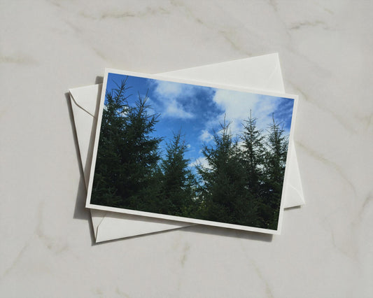 Evergreen Forest Canopy Poster, Conifer Trees Blue Sky, Nature Landscape Framed-Print, Green Wall Art, Woodland Photography Print