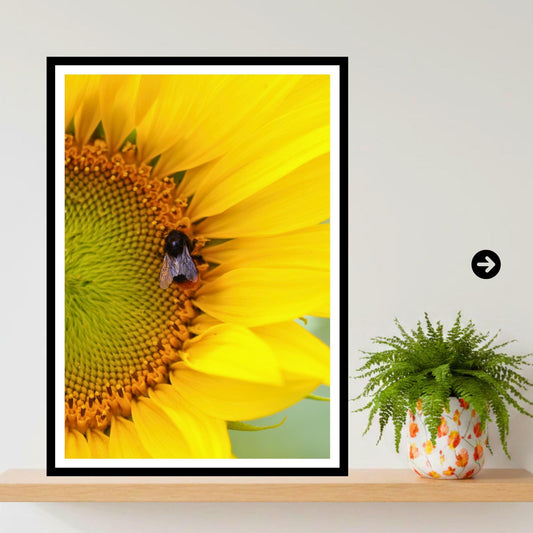 Bee on Sunflower Wall Art Print | Botanical Photography, Summer Garden Decor