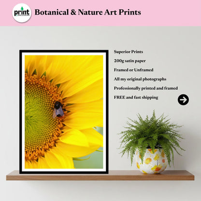 Bee on Sunflower Wall Art Print | Botanical Photography, Summer Garden Decor