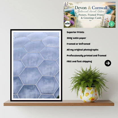 Eden Project Hexagon Biome — Cornwall Wall Art Photography Print